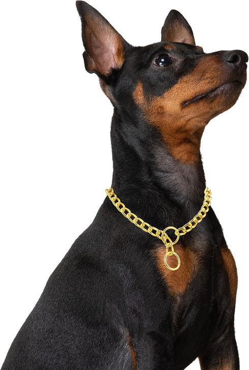 Mogoko Stainless Steel Dog Choke Chain Collar, Puppy Metal P Chain Slip Collar Pet Training Walking Choker(Gold; 3.5mm;22.0 Inch)
