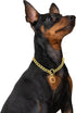 Mogoko Stainless Steel Dog Choke Chain Collar, Puppy Metal P Chain Slip Collar Pet Training Walking Choker(Gold; 3.5mm;22.0 Inch)