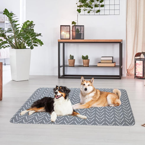 2 Pack 48" 60" PUPTECK Reusable Dog Pee Pads, Non-Slip Washable Waterproof, Fast Absorbing Puppy Pads Whelping Mat