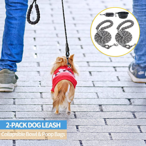 BAAPET 2 Packs 5/6 FT Dog Leash with Comfortable Padded Handle and Reflective Threads for Small Medium Large Dogs