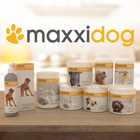 maxxipaws maxxicalm Natural Calming Supplement for Dogs - 120 Tablets, Non-Drowsy