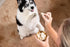 HOLI Freeze Dried Chicken Dog Treats, 100% All Natural Chicken Breast, Grain Free, Gluten Free, Soy Free (1.75 Ounce)