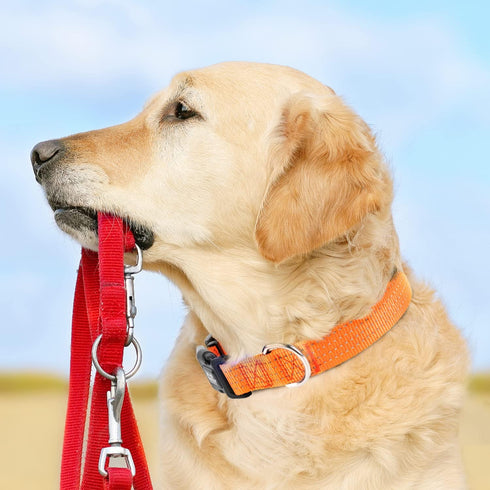 TwoEar Heavy Duty Reflective Dog Collar, Adjustable Nylon Pet Collar with Durable Buckle for Small Breeds Dog (S,