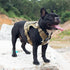 Tactical Dog Harness Vest with Handle, Military No-Pull Vest for Large Medium Dogs, Adjustable for Training and Hiking