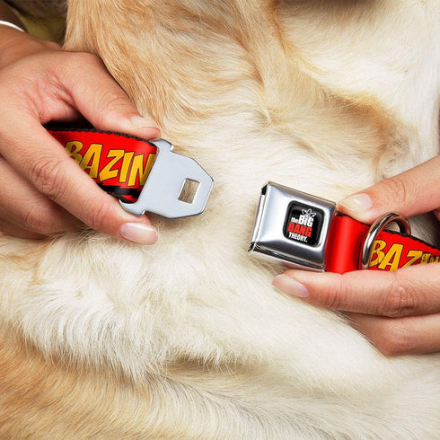 Dog Collar Seatbelt Buckle Bazinga Red Gold Black 11 to 17 Inches 1.0 Inch Wide, Multi Color