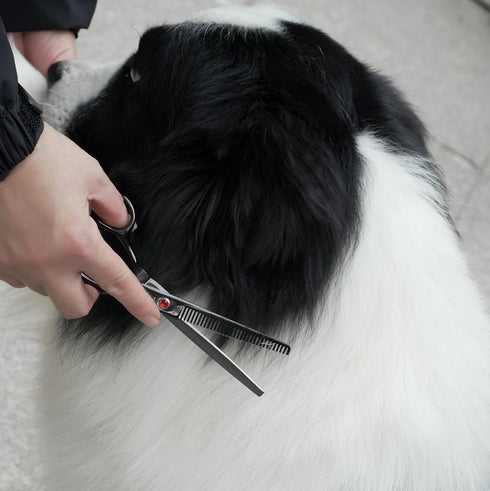 Set Dog Grooming Scissors Kit, Fcysy Professional Pet Hair Cutting Shears with Curved & Straight Blades Scissors