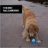 Nite Ize 9 GlowStreak Rechargeable LED Ball - Rubber Dog Toy - Motion-Activated & Waterproof Design - Hours of Runtime