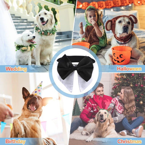 Formal Pet Bowtie Collar, 1 Piece Adjustable White Tuxedo Bow Tie and Collar for Cats Dogs, Neck Girth 21.97-25"
