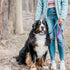 Blueberry Pet 3M Reflective Nylon Dog Leash with Soft Handle, Multi-Colored Stripe, Olive & Blue-Gray, Small