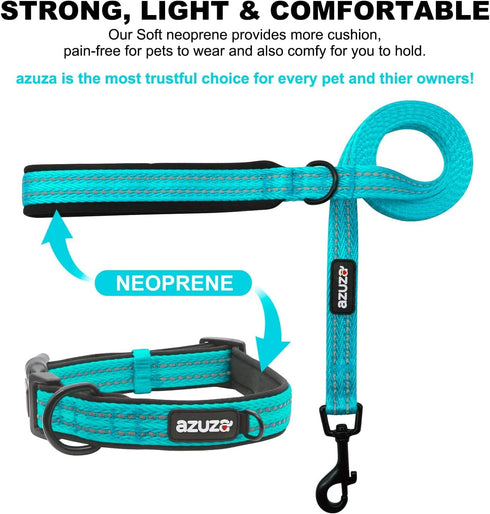 azuza Durable Padded Dog Leash, Reflective Strip for Extra Safety and Comfort for Small Dogs, Blue