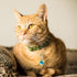 POPETPOP Cat Dog Collar Bells, 10pcs Jingle Bell for Cat Collar, Colourful Pet Small Bells for DIY Crafts Decoration
