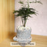 LMtonble 11LB 1/8-3/8inch Jade Color Aquarium Gravel Fish Tank Gravel Pea Gravel for Plants Small Rocks for Indoor