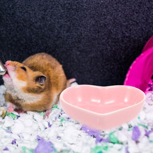 POPETPOP 3Pcs Heart-Shaped Ceramic Hamster Food Bowl - Compact Size, Sufficient Quantity, Wide Application Pet Feeder