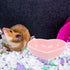 POPETPOP 3Pcs Heart-Shaped Ceramic Hamster Food Bowl - Compact Size, Sufficient Quantity, Wide Application Pet Feeder