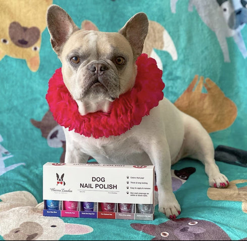 Warren London Dog Nail Polish in A Bottle, Premium Coverage and Color, All 6 Colors