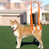 ROZKITCH Dog Lift Harness, Pet Rear Support Aid | Veterinarian Approved Sling for Old K9 Joint Injury Rehabilitation