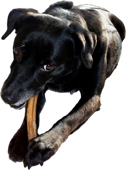 (1 Pound – 6 Inch) (THICK) (16 oz Pack) All Natural Premium Quality Bully Sticks (6”)