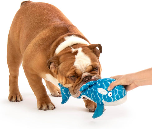 Strong 'N Silent Silent Swimmer Soft Plush Orca Chew Guard Dog Toy - Blue, Large