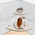 Bird Parrot Corner Perch, Flat Platform Stand, Easy to Install, Safe and Stable Hardwood Bird Cage Perches (XL)