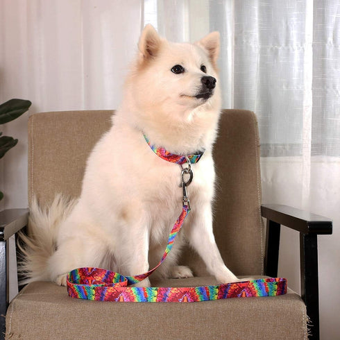Dog Collar Pet Funny Rainbow Adjustable Collars with Tie Dye Leash - Multicolor Set for Small Medium Large Dogs