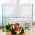 GANAZONO Japanese Shinto Torii Gate Miniature Ornament, Grey Fish Tank Decoration Bridge Landscape
