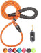BAAPET 6 Feet Slip Lead Dog Leash, Anti-Choking with Durable Rope Cover and Padded Handle for Dogs - Orange