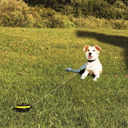 Lixit Bracket Mount and Stake Retractable Leash Tie Outs for Dogs, Small Stake