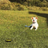Lixit Bracket Mount and Stake Retractable Leash Tie Outs for Dogs, Small Stake