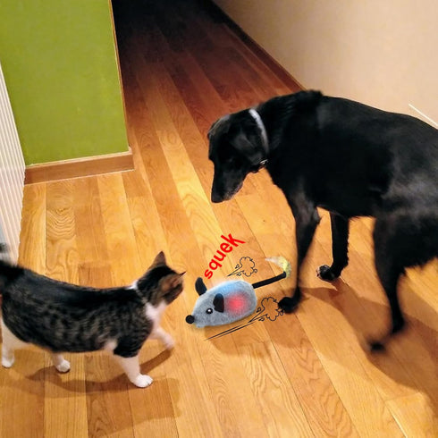 BABORUI Interactive Dog Toys Mouse, Escaping Squeaky Toys with Lights & Auto-Turn, Rechargeable