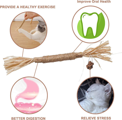 PAZ'S GIFT Catnip Toy, 2pcs Cat Chew Kicking Silvervine Stick, Indoor Interactive Dental Care for Kittens