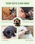 HGB Squeaky Dog Toys - Plush Chew Toys for Puppy Teething, Interactive Toys for Small and Medium Dogs