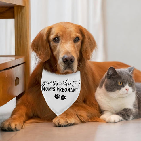 Guess What? Mom's Pregnant Dog Bandana Pregnancy Announcement Baby Announcement Dog Bandana for Dogs Pregnancy