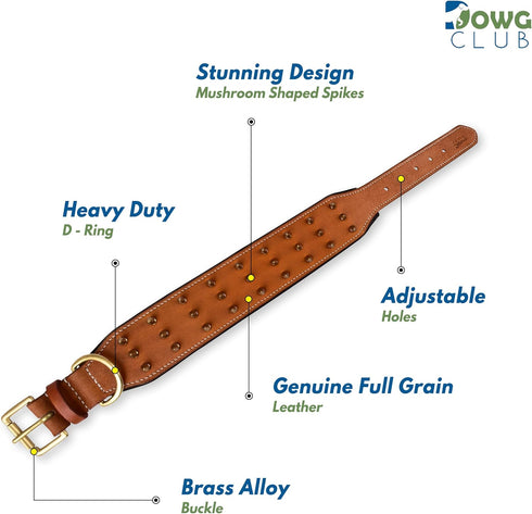 Genuine Leather Spike Dog Collar, Heavy Duty, Full Grain, 2" Wide, Brown with Gold Spikes (L, 18.5"-22.5")
