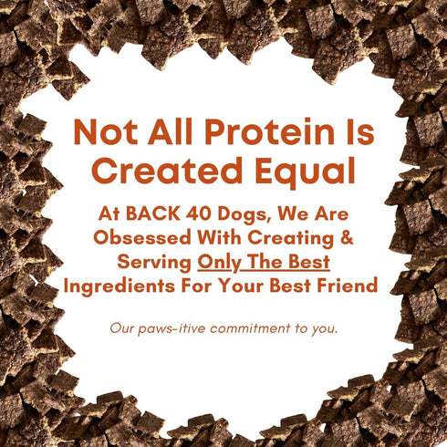 Beef Bites: All Natural Premium Air Dried Dog Training Treats, High Protein Dog Food Toppers, 16oz
