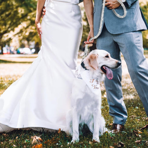 Stylish Rhinestone Dog Leash, 43 Inches Full Diamonds Design for Wedding and Everyday Walking, Sparkly Studded Leash