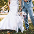 Stylish Rhinestone Dog Leash, 43 Inches Full Diamonds Design for Wedding and Everyday Walking, Sparkly Studded Leash