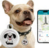 LFNOONE GPS Tracker No Subscription No SIM Card, Real-Time Tracking Mini Waterproof Device