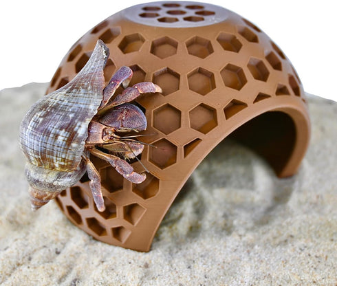 Lucky Critter Hermit Crab Climbing Coconut Hideout Hut | Hermit Crab Climb Tank Decor Cave | Hideaway Habitat Hide
