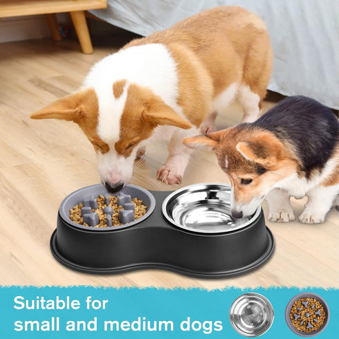 Dog Bowls, Double Dog Water and Food Bowls, Stainless Steel with Non-Slip Resin Station for Puppy and Medium Dogs