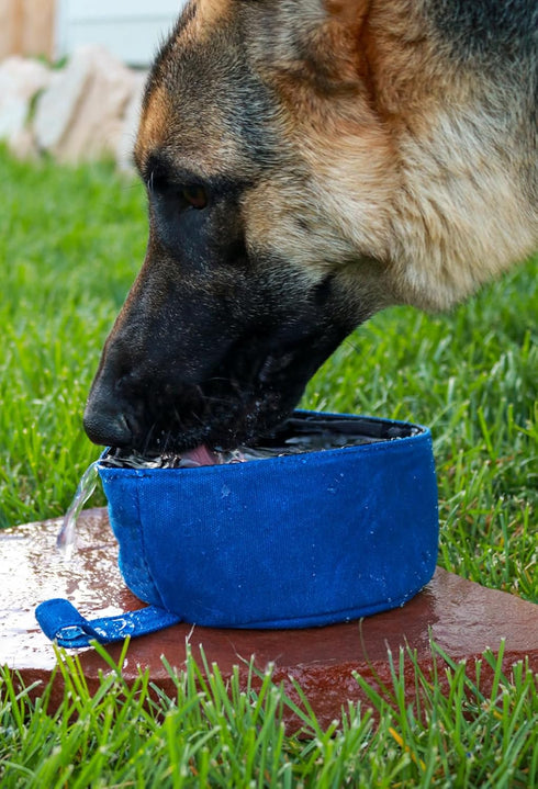 CALDO Collapsible Dog Bowl - Blue Food and Water Bowl for On-the-Go
