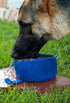 CALDO Collapsible Dog Bowl - Blue Food and Water Bowl for On-the-Go