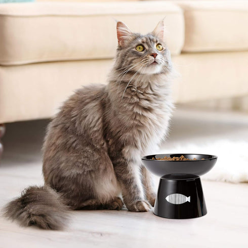 Yangbaga Non-Skid Premium Ceramic Cat Raised Food/Water Bowl with Stand, 4.8x6.4in, Black