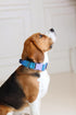 Tactical Dog Collar with Control Handle - Adjustable, Heavy Duty for Medium and Large Breeds