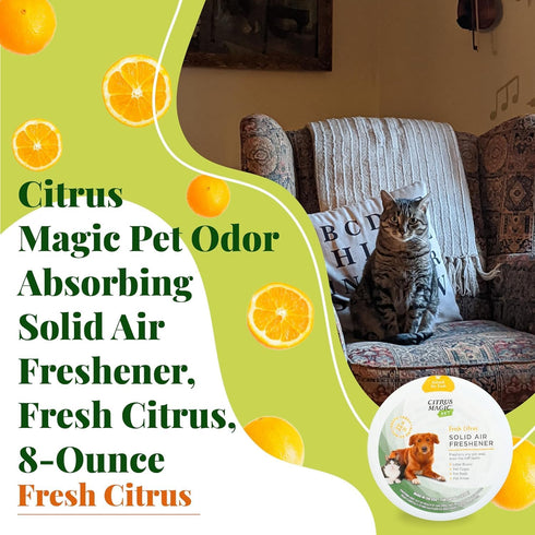 Citrus Magic Pet Odor Absorbing Solid Air Freshener, Fresh Citrus, 8 Oz (Pack of 3)