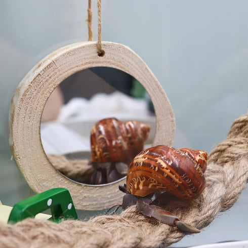 3.1 Inches Hermit Crab Mirror Toy, Reptile Mirror Toy, Small Animal Cage Tank Aquarium Decor Accessories, Suitable for Hermit Crab Lizard Chameleon Hamster Guinea Pig Turtle by Oooct