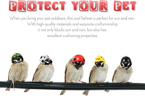 Skylety 8 Pieces Hens Helmet, Chicken Pet Safety Helmet, Funny Bird Hens Hat Headwear for Small Pets (Animal,