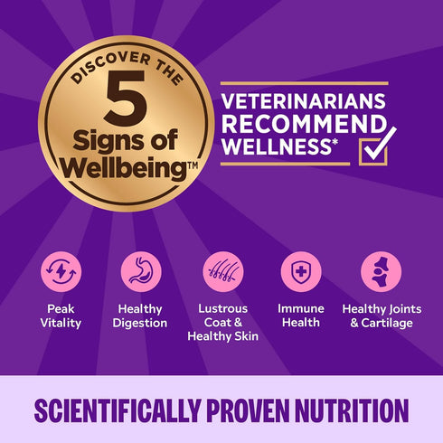 3 oz, Pack 12 Wellness Complete Health Gravies Adult Canned Wet Cat Food, Natural, Protein Rich, Grain Free, Chicken