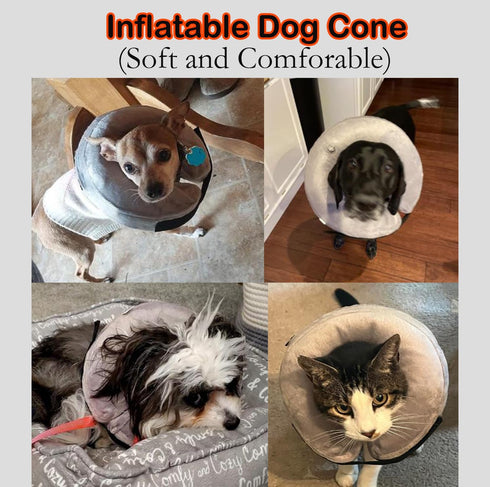 Inflatable Dog Cone Collar After Surgery, Soft Neck Donut E-Collar for Small Medium Large Dogs and Cats Recovery