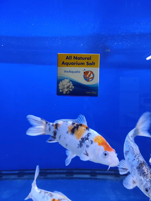 Premium Aquarium Salt - Freshwater Tablets for Essential Aquarium Water Treatments (9 Tablets)