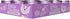 PETITE CUISINE Grain-Free Wet Cat Food, L'il Violet's Tuna, Pumpkin & Tilapia, 24 cans 2.8 oz